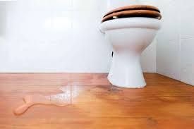 Toilet Overflow — water damage